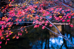 100款软件免费下载入口安卓手机主界面展示